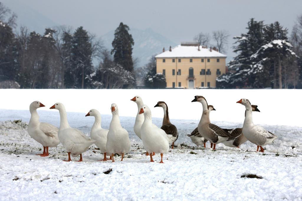 Agriturismo Il Torrione Πινερόλο Εξωτερικό φωτογραφία
