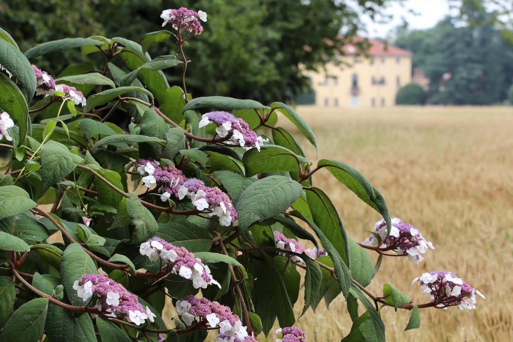 Agriturismo Il Torrione Πινερόλο Εξωτερικό φωτογραφία